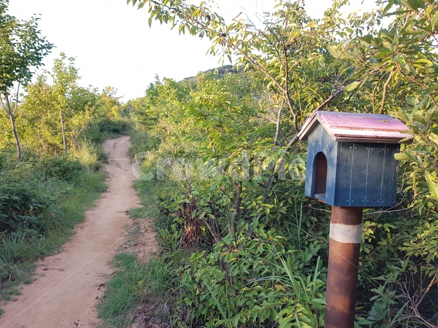 	등산로,산길,새집,여름,분성산,김해,trail,birdhouse,mountain,MountainRoad,summer,사물,물건,오브젝트,thing,object,matter