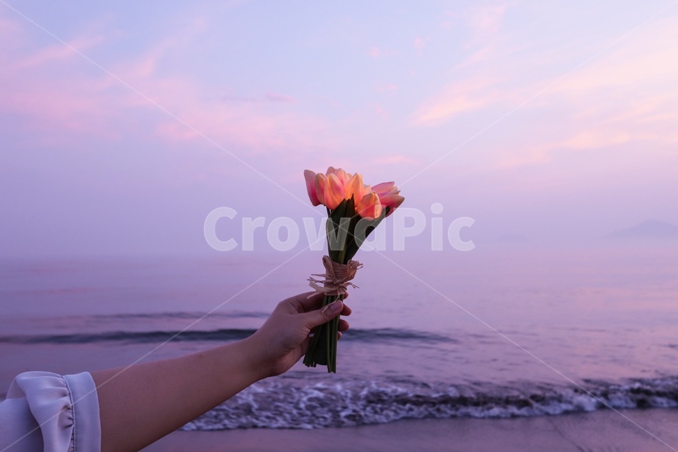 다대포해수욕장,일몰,led꽃,튤립,보랏빛하늘,바닷가,꽃,flower,신체일부,몸,body