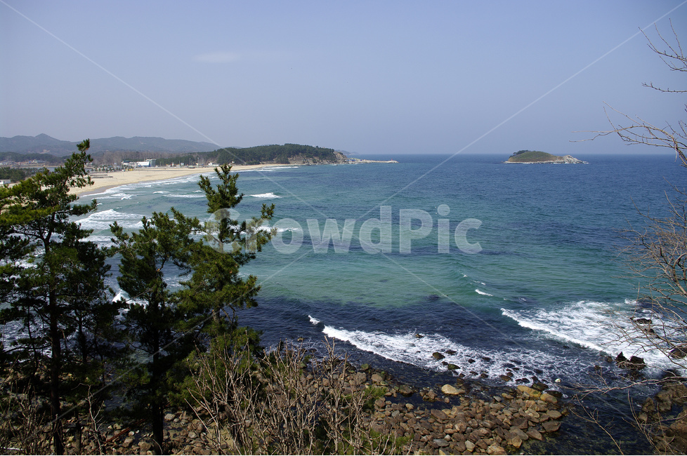 바다,풍광,푸른바다,파도,해안,소나무,섬,수평선,자연,풍경,nature,landscape,해변,바다,beach,sea,land,땅,outdoors,옥외,water,물,ocean,대양,shoreline,해안선,promontory,곶