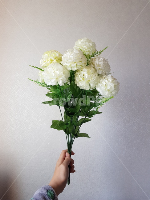 식물,꽃,조화,flower,대볼국