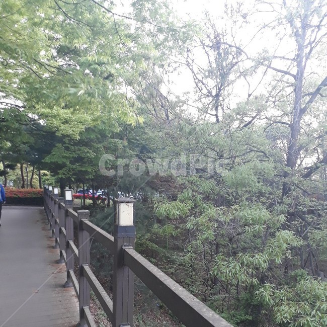railing,난간,banister,handrail,나무,초록,자연,길,등,낮,하늘