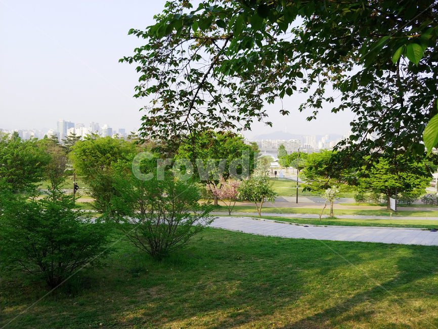 자연,풍경,nature,강,나무,공원,여름,감성,나뭇잎,나무밑,landscape,계절,summer,season,휴식,힐링,rest,relaxation,healing,식물,plants