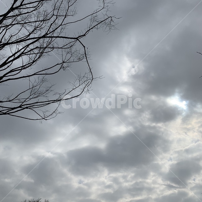 먹구름,구름,회색빛,감성,날씨,weather,cloud,cloudy,darkclouds