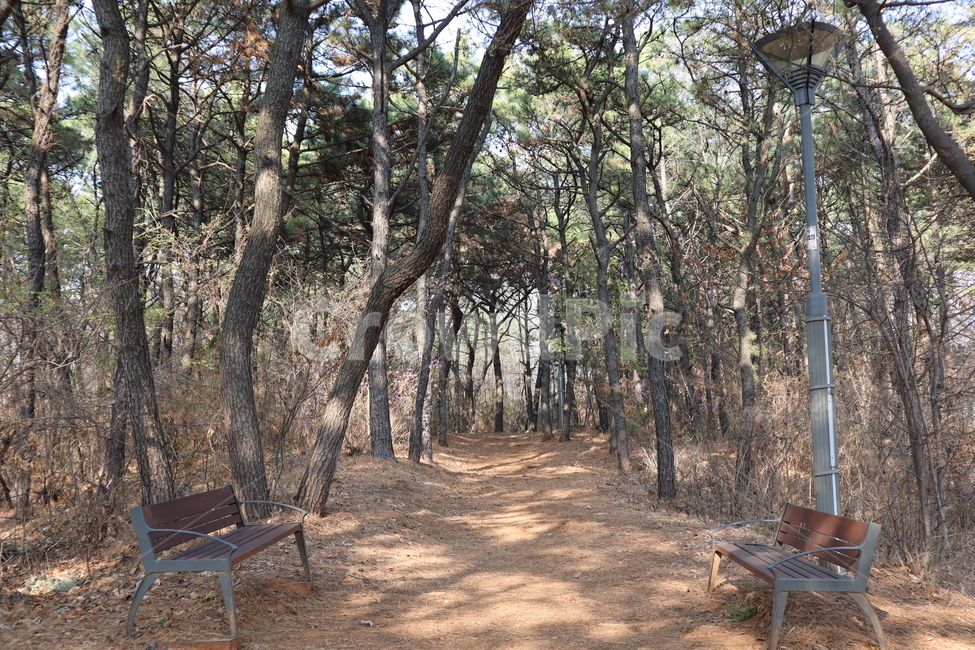 산,벤치,숲,숲길,산책로