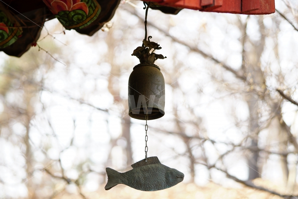풍경,종,잉어,절,사찰,불교,종교,한국,전통,역사,문화재,문화,한옥,지붕,처마,종소리,신앙,부처,소망,소원,temple,Buddhism,buddha,석가모니,고타마싯다르타,korea,한국적인,한국적,한국문화,유적,유적지,한국전통,감성사진,감성,힐링,힐링사진,스냅,스냅사진,스넵사진,스넵,snap,사물,물건,오브젝트,object,컨셉,콘셉,concept,믿음,기도,한국전통,한국문화,korean traditional,korean culture