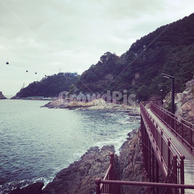 바다,해변,풍경,다리,케이블카