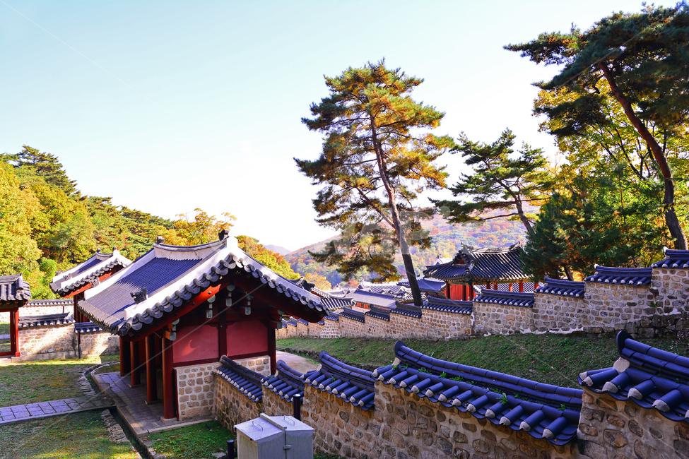 가을,전통,문화유산,기와집,한국풍경,코리안,fall,autumn,traditional,background,가을풍경,유적지,한국전통,하우스,사당,옛집,역사관,보존,히스토리,korean,house,10월,계절,시즌,배경,바탕,백그라운드,기념관,가을숲,forest,고목나무,소나무,파인트리,pinetree,가을,계절,fall,autumn,season,한국전통,한국문화,korean traditional,korean culture,랜드마크,landmark,tourist attraction,한국랜드마크,한국관광지,한국명소,korea landmark,korea tourist attraction,roof,지붕