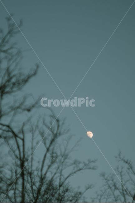 달,light,빛,풍경,자연,하늘,landscape,sky,배경화면,자연,풍경,nature,landscape,야경,밤,nightscape,night,outdoors,옥외,universe,우주,moon,astronomy,천문학,outer space,대기권 밖,space