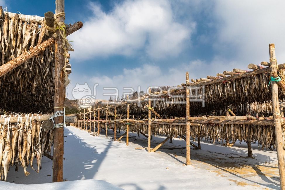 Daegwallyeong deokjang,deokjang,winter,snacks for drinks,dried fish,season,beer snacks,snacks,sky,winter pollack,pollack,Daegwallyeong dried pollack,food,Gangwondo,snow,fish,Daegwallyeong,winter scenery,traditional food,Dried pollack,dried Fish,dried poll