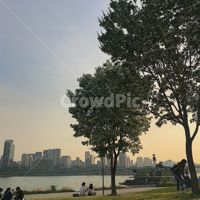 한강,노을,tree,나무,소풍,캠핑