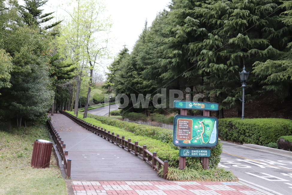 숲사이길,거리,도로,공존,운동,비움,숲,나무