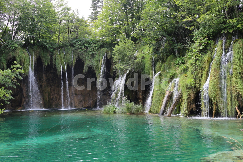 크로아티아,크로아시아,croatia,플리트비체,plitvice,plitvica,국립공원,물,폭포,연못,강,숲,나무,초록,여름,park,nature,waterfall,water,river,pond,green,tree,forest,자연,풍경,nature,landscape