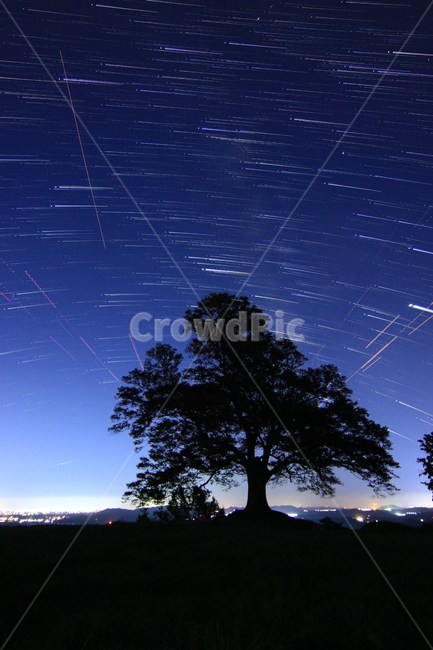 은하수밤,하늘,별,나무,은하수,야경,밤,풍경,nightscape,night,landscape