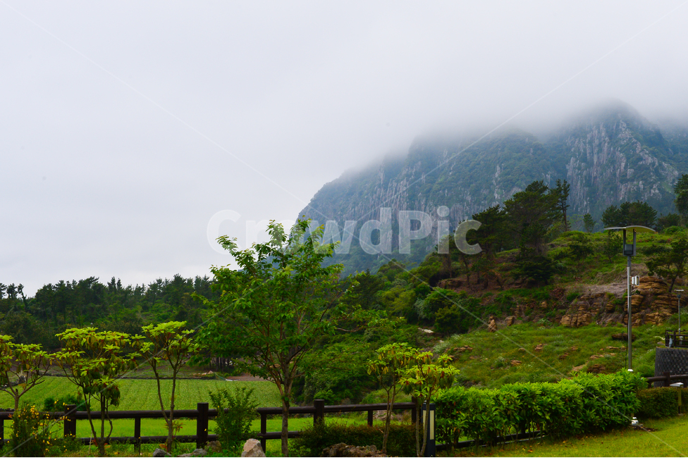 제주도,산방산,안개,구름,흐림,비,나무,푸른,경치,관광,풍경,하늘,조용한,등산,건강,식물,자연,sky,rain,봄,여름,대한민국,울타리,자연,풍경,nature,landscape,한국자연풍경,한국자연경관,korea nature landscape,제주도,jeju,jeju island,outdoors,옥외