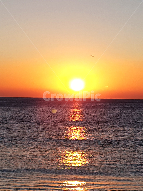 nature,자연,outdoors,옥외,햇빛,sunlight,해돋이,일출,일몰,석양,바다,바닷가,해변,하늘,갈메기
