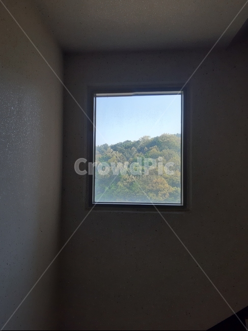 산,창문,window,배경,초록색