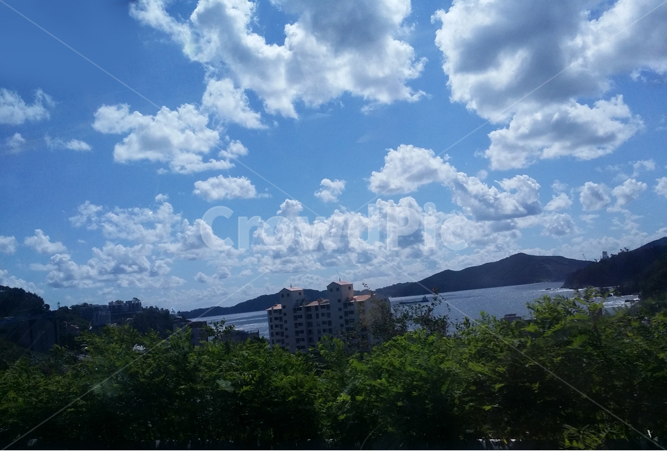맑은하늘,푸른하늘,하늘,바다,리조트,나무,거제도