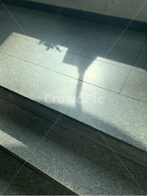 flooring,floor,바닥,계단,감성,그림자,식물그림자,계단그림자