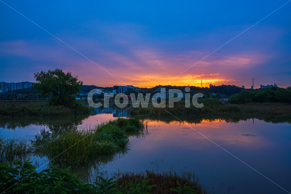 해돋이,일출,새벽,여명,풍경,하늘,도시,풍경,city,landscape,nature,자연,outdoors,옥외,land,땅,water,물