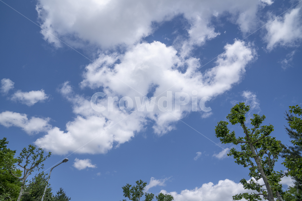 nature,자연,outdoors,옥외,푸른하늘,sky,하늘,azuresky,뭉게구름,푸른하늘,cumulus,적운,적란운,파란하늘