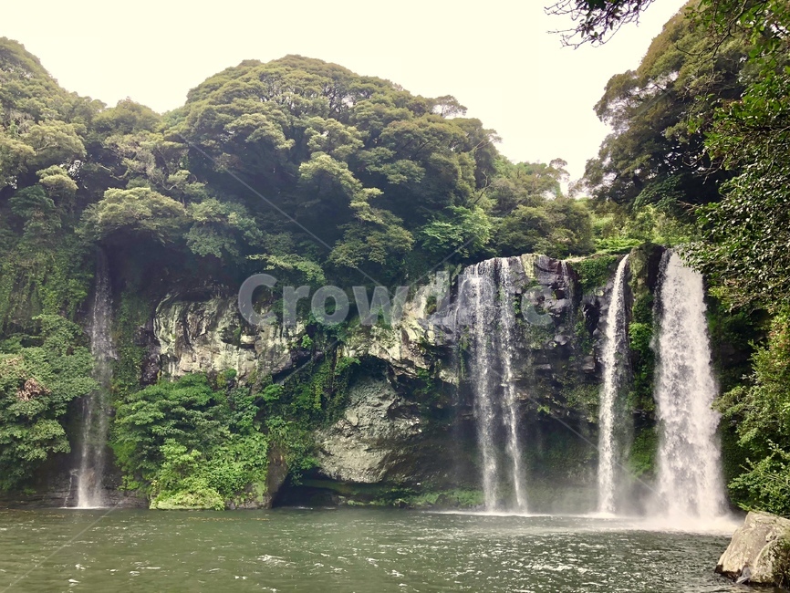 water,물,waterfall,폭포,jeju,제주,천지연,자연,풍경,nature,landscape,한국자연풍경,한국자연경관,korea nature landscape,제주도,jeju,jeju island,river,강,outdoors,옥외