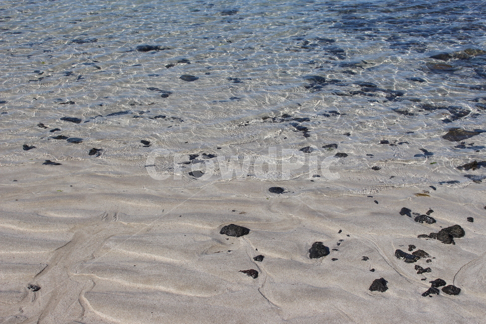 바닷가,바다,맑은물,물가,해안,해변,바다,beach,sea,제주도,jeju,jeju island