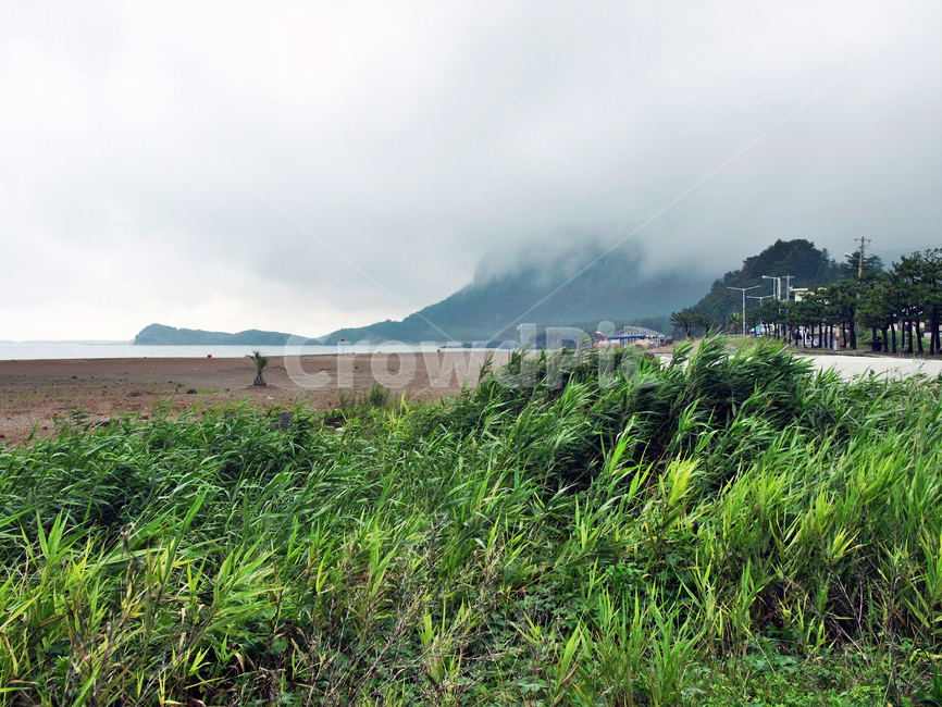 화순금모래해변,시작점,올레10코스,올레,서귀포시,제주,해변,자연,풍경,nature,landscape,outdoors,옥외