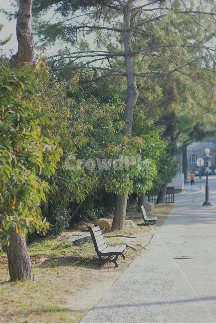 캠퍼스,벤치,부산대,대학교,감성사진,풍경,부산대학교,장전동,식물,자연,plants,nature,나무,trees,wood,휴식,힐링,rest,relaxation,healing