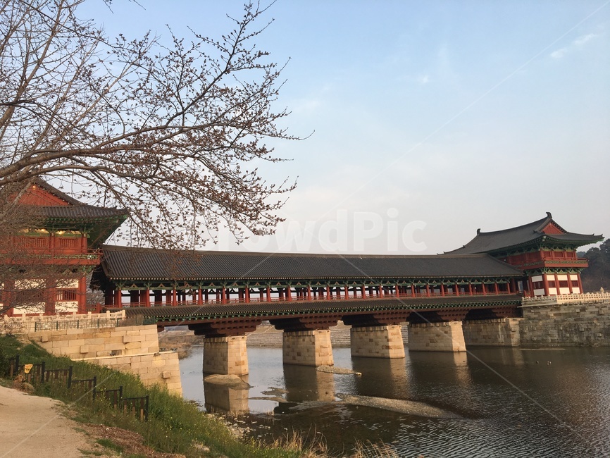 경주,한옥,월정교,문화재,한국,전통,문화,신라,유적,관광지,과거,흔적,풍경,하늘,구름,맑은,기와,기와집,기왓집,한국전통,한국문화,spring,season,sky,landscape,landmark,touristattraction,korealandmark,view,bridge,korea,gyeonju,silla,woljeonggyo,architecture,wooden