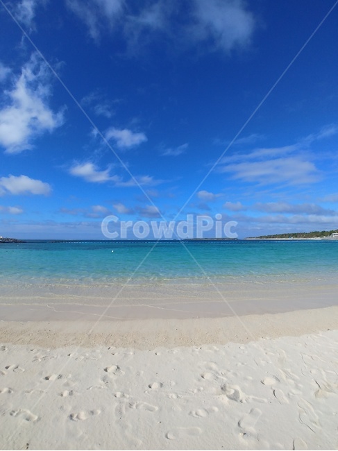 바다,해변,하늘,백사장,해수욕장,해변,바다,beach,sea