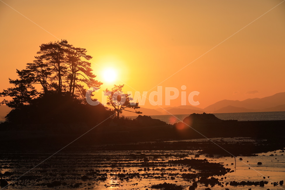 태양,일몰,하늘,섬,나무,저녁,자연,풍경,nature,landscape,한국자연풍경,한국자연경관,korea nature landscape,실루엣,그림자,silhouette,shadow,outdoors,옥외,sunset,dawn,새벽,red sky,붉은 하늘,sky,dusk,황혼,sunlight,햇빛