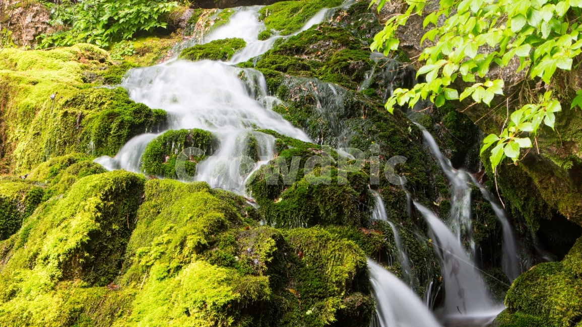 삼척고건리,이끼계곡,고건리이끼,장노출,계곡장노출,물안개,자연,풍경,nature,landscape,outdoors,옥외,river,강,water,물,waterfall,폭포