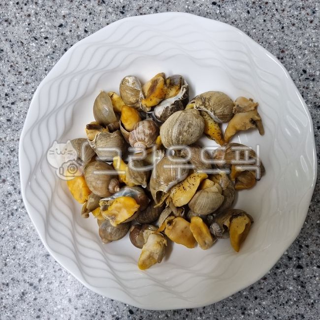 conch,snail,seashell,turbanshell,clamshell,sea snail,cookingmaterial,seasnail,Whitenecked guy,Food Ingredients,escargot,ingredients,foodmaterial,seafood,beating,spiralshellfish,Whelk,cooking ingredients,food,shellfish,shell,seafoodproducts,clam,topshell,f