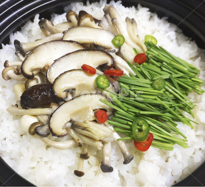 한식,버섯,덮밥,돌솥밥,쌀,음식,요리,food,korean,rice,mushroom,표고버섯,고추,식사,meal,음식,식재료,요리,food,cook,meal,dishes,food reserves,한식,한국음식,한국요리,korean food,korean dishes,korean meal,korean cook