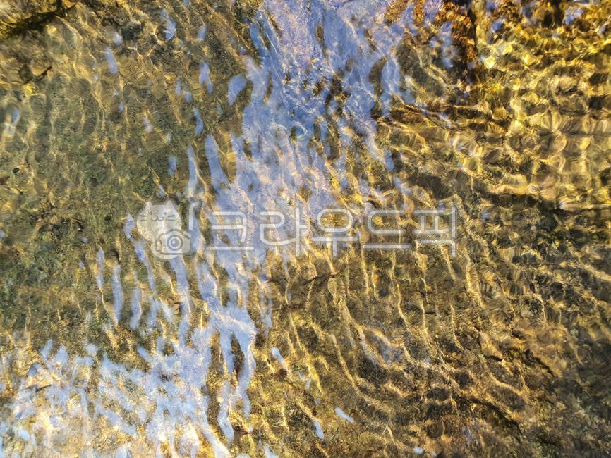 pond,forest,forest pond,yunseul,reflected water,summer,stream,flowing water,waterside,nature,cool,cool water,water,shining pond,water play,valley,foot soaking,sparkling water,transparent water