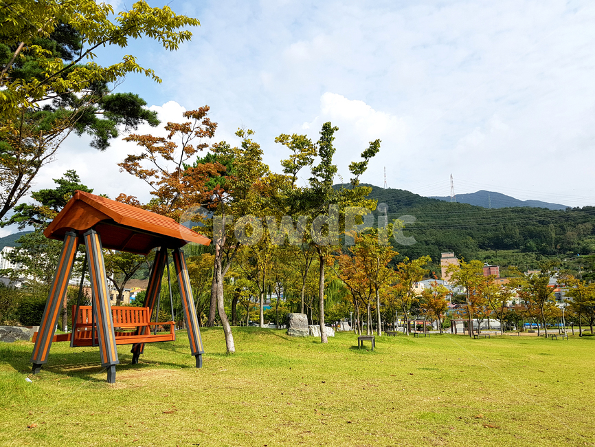 plant,식물,grass,잔디,tree,나무,양산시,거리,금산근린공원,벤치,흔들의자,나무의자