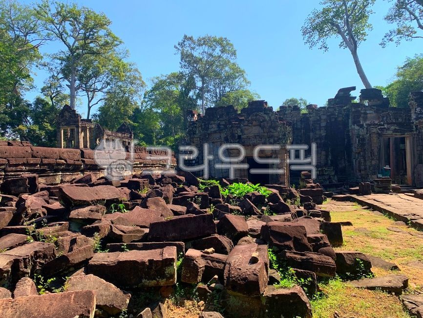Cambodia,tree,Historic sites,employee,Cambodia Angkor Wat,building,ruins,Temple collapse,land mark,collapse,Angkor Wat,Cambodia Historic Site