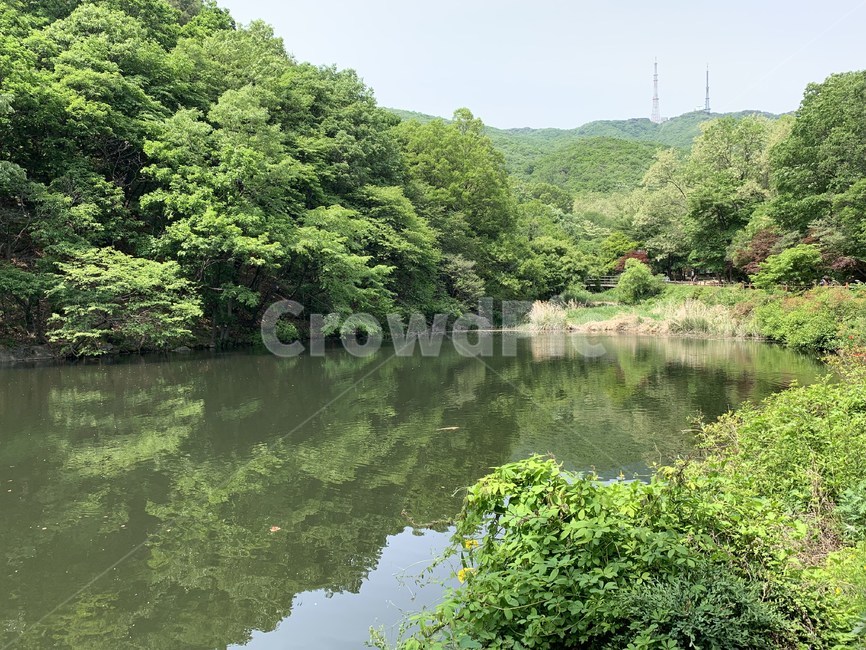 풍경,야생,자연,물,water,자연,풍경,nature,landscape