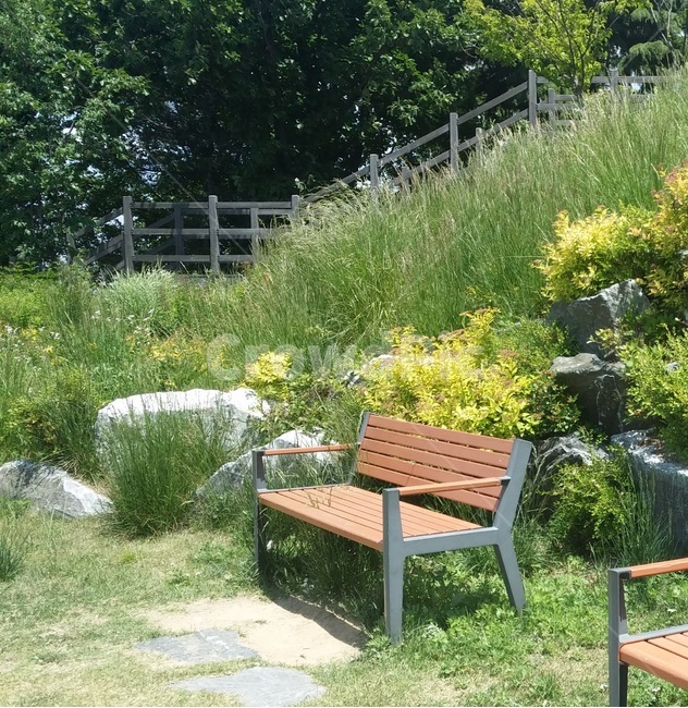 공원,휴식,노란꽃,벤치,식물,산,자연,맑은날,자연,풍경,nature,landscape,휴식,힐링,rest,relaxation,healing,plant,grass,잔디