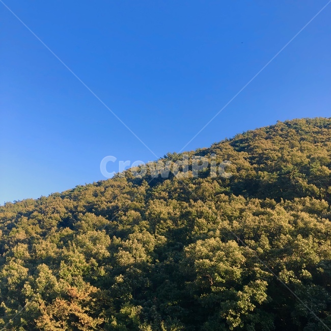 산,하늘,나무,파란하늘,맑은하늘,구름없는하늘,자연,가을,가을하늘,숲,fall,tree,sky,abluesky,aclearsky,mountain,nature,자연,풍경,nature,landscape,outdoors,옥외