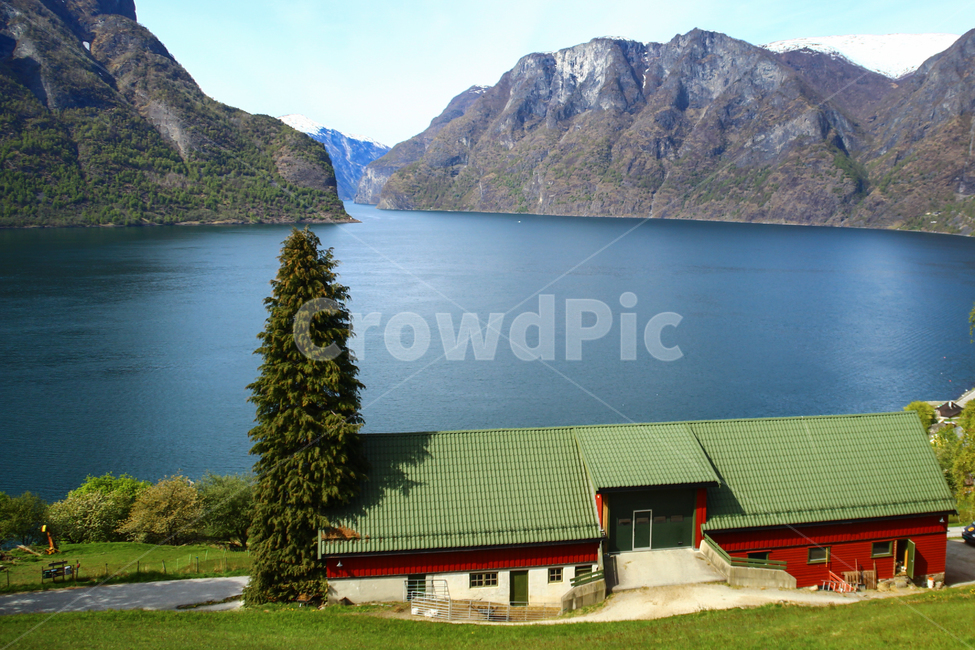 purity,magnificent,peaceful,scene,spring,Sognefjord,beautiful,superb view,fjord,mountain,scandinavia,sight,quiet,europe,Minister,picturesque,spare,Cliff,green,static,nature,everyone,riverside,mountain range,water,sharp,fiord,Panorama,Norway,glacier type,c