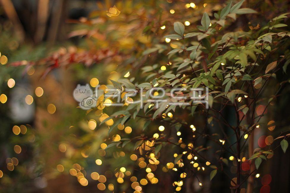 겨울,크리스마스,크리스마스이미지,christmasimage,winterimage,lighting