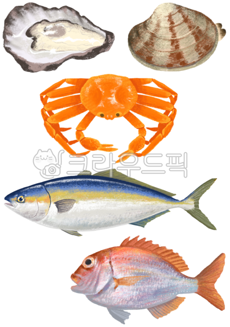 해산물,그림,일러스트,굴,대게,방어,도미,바지락,물고기,겨울음식,제철식재료