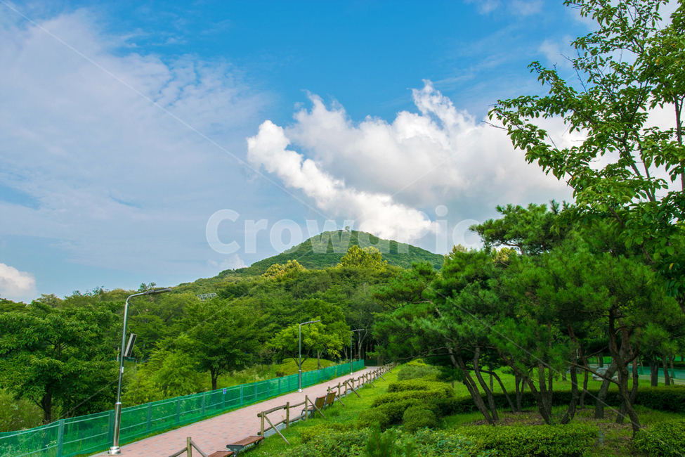 공원,풍경,초록,park,cloud,강,river,구름,수평,수직,소실점,평화로움,peace,자연,풍경,nature,landscape,outdoors,옥외