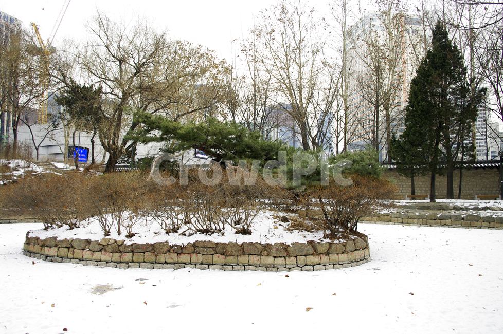 담장,겨울,winter,풍경,설경,눈,연못,나무,식물,plant,겨울,계절,winter,season