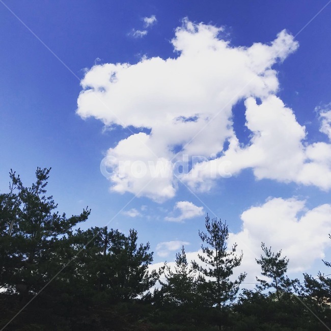 파란하늘,하늘,구름,sky,맑음