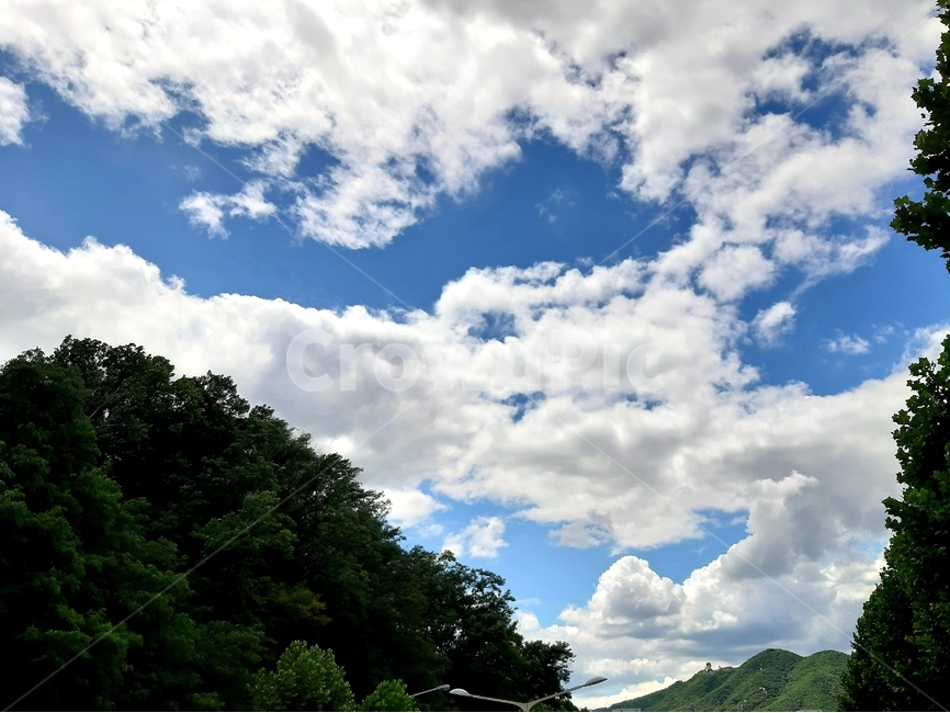 하늘,파랑,구름,하늘색,흰색,파란하늘,높은하늘,미세먼지없는하늘