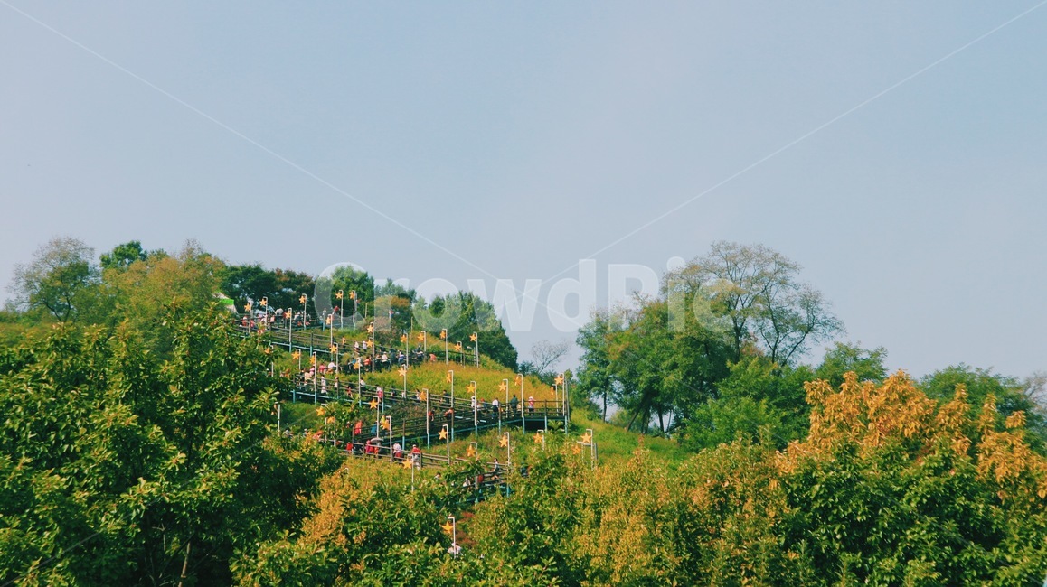 하늘,landscape,plants,계절,fall,autumn,season,풍경,nature,식물,자연,바람개비,동산
