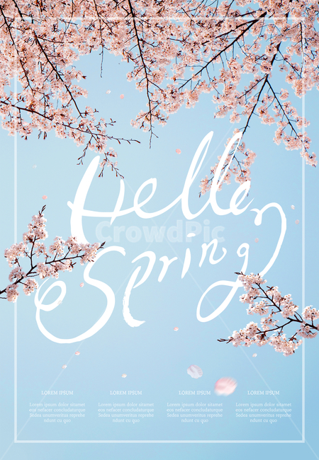 벚꽃,꽃,프레임,봄,감성,봄,계절,spring,season,식물,자연,plants,nature,꽃,flower,그래픽,일러스트레이션,graphic,illustration,plant,blossom,cherry blossom