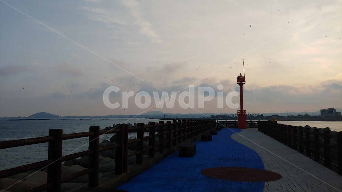 제주도,자연,풍경,한국,국내여행,해수욕장,파란하늘,view,scenery,sky,search
